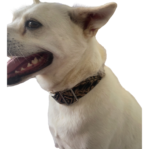 "The Mac". Macrame Dog Collar - Walnut