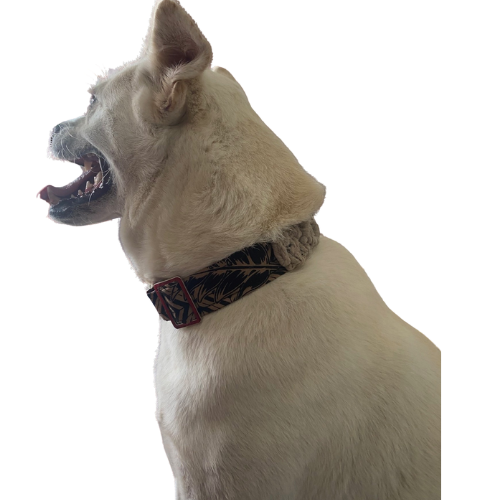 "The Mac". Macrame Dog Collar - Walnut