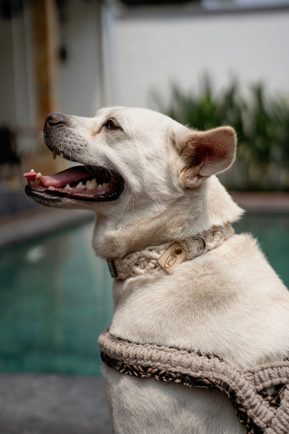 "The Mac". Macrame Harness - Beige